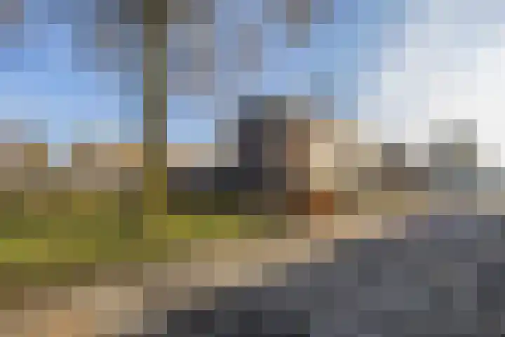 Pad van Arendsoog 2 Wageningen thumbnail 30