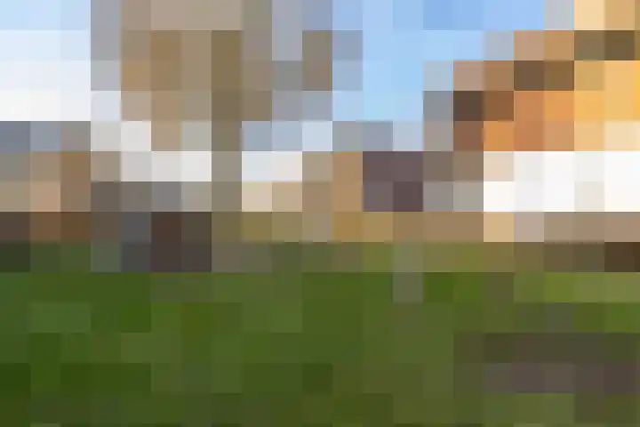 Pad van Arendsoog 2 Wageningen thumbnail 31