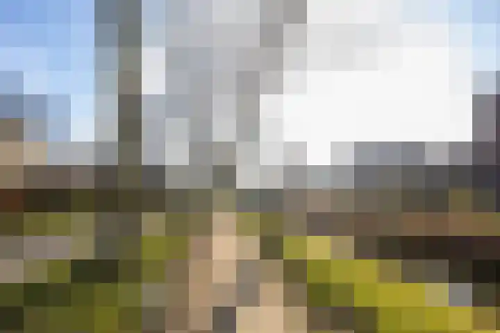 Pad van Arendsoog 2 Wageningen thumbnail 32
