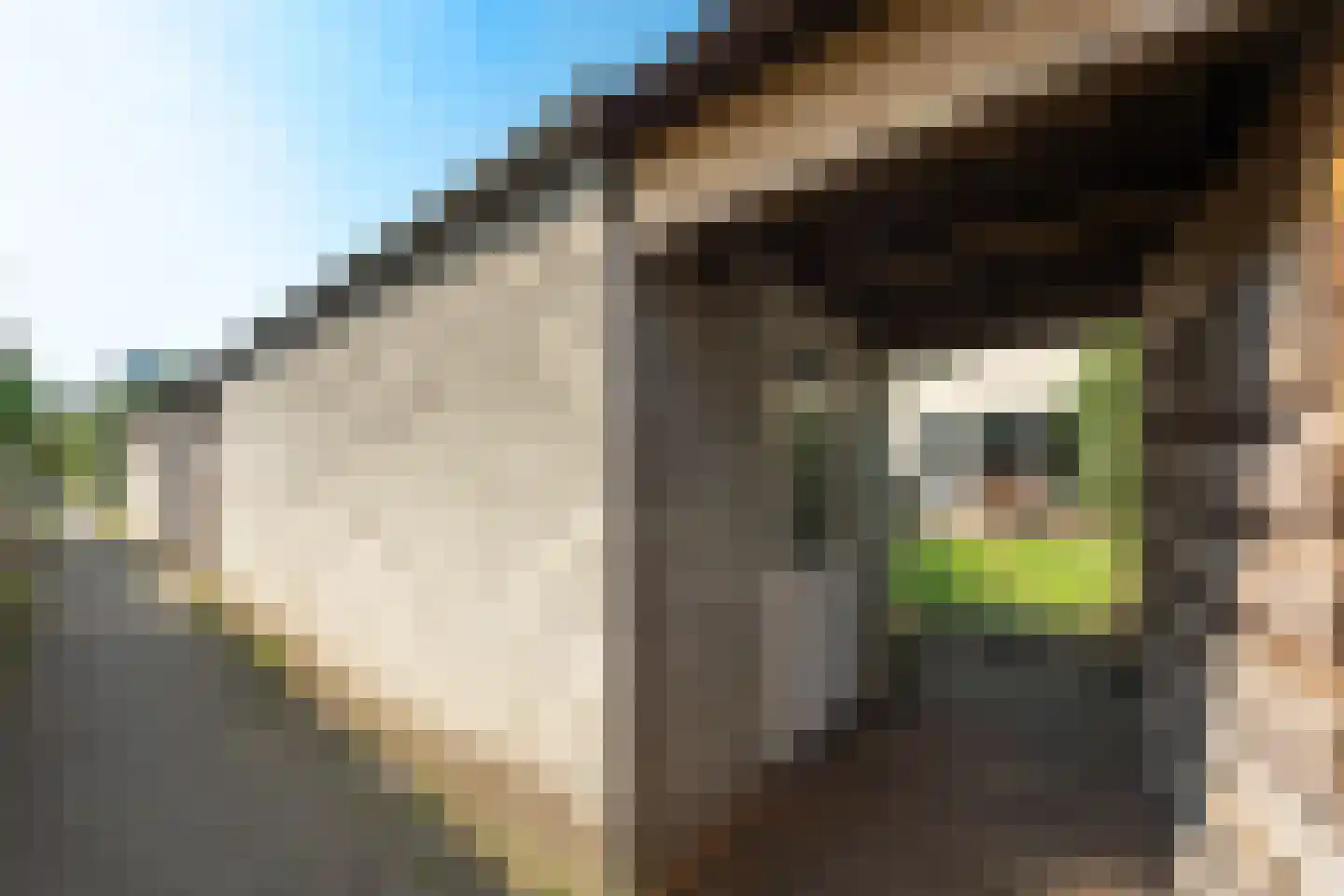 Pad van Jip en Janneke 8 Wageningen thumbnail 36
