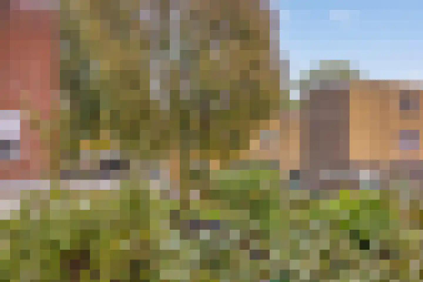 Pad van Witte Veder 10 Wageningen thumbnail 28