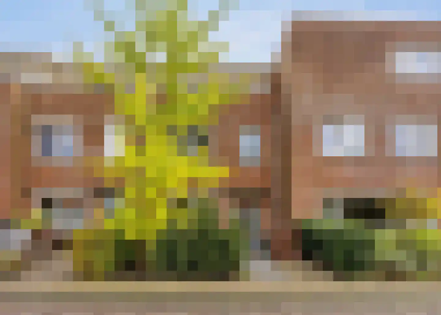 Pad van Witte Veder 10 Wageningen thumbnail 29
