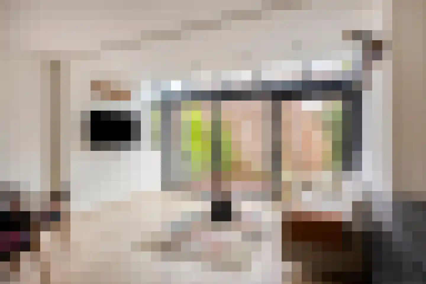 Pad van Witte Veder 10 Wageningen thumbnail 5