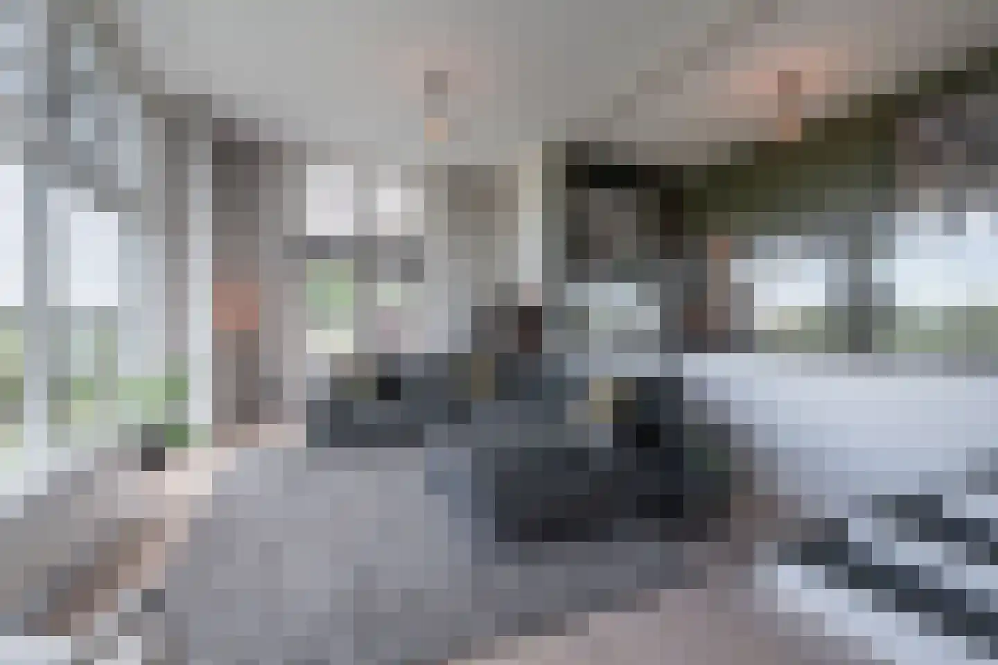 Pad van Witte Veder 13 Wageningen thumbnail 11