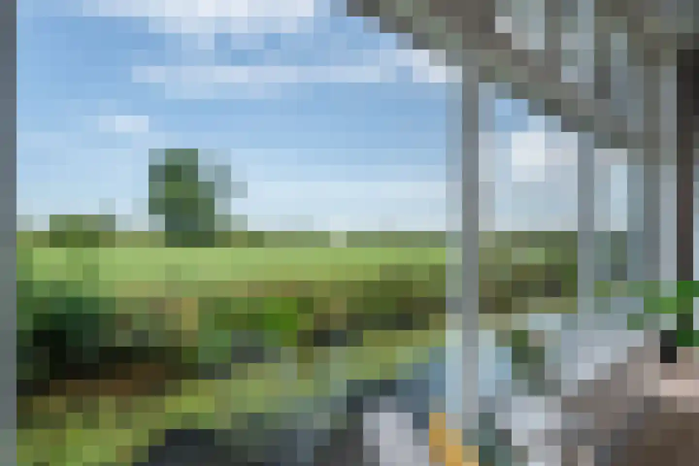 Pad van Witte Veder 13 Wageningen thumbnail 12