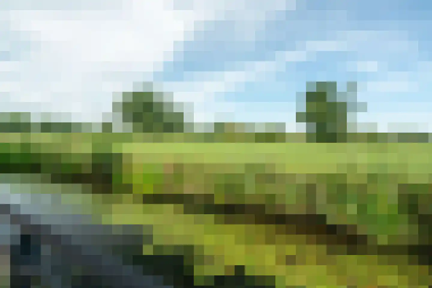 Pad van Witte Veder 13 Wageningen thumbnail 38