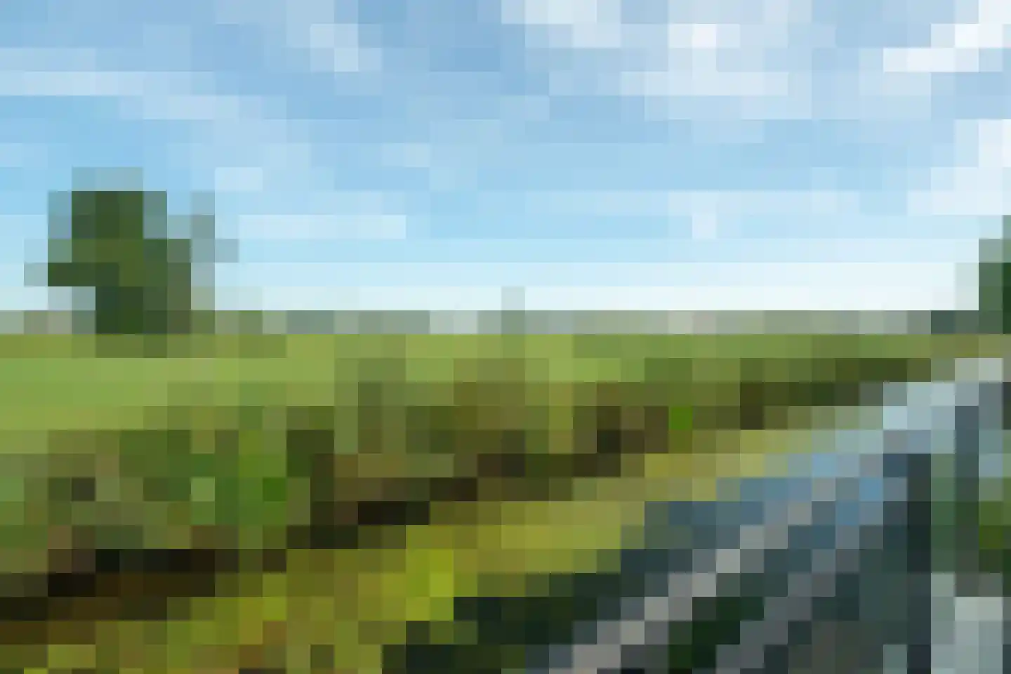 Pad van Witte Veder 13 Wageningen thumbnail 39