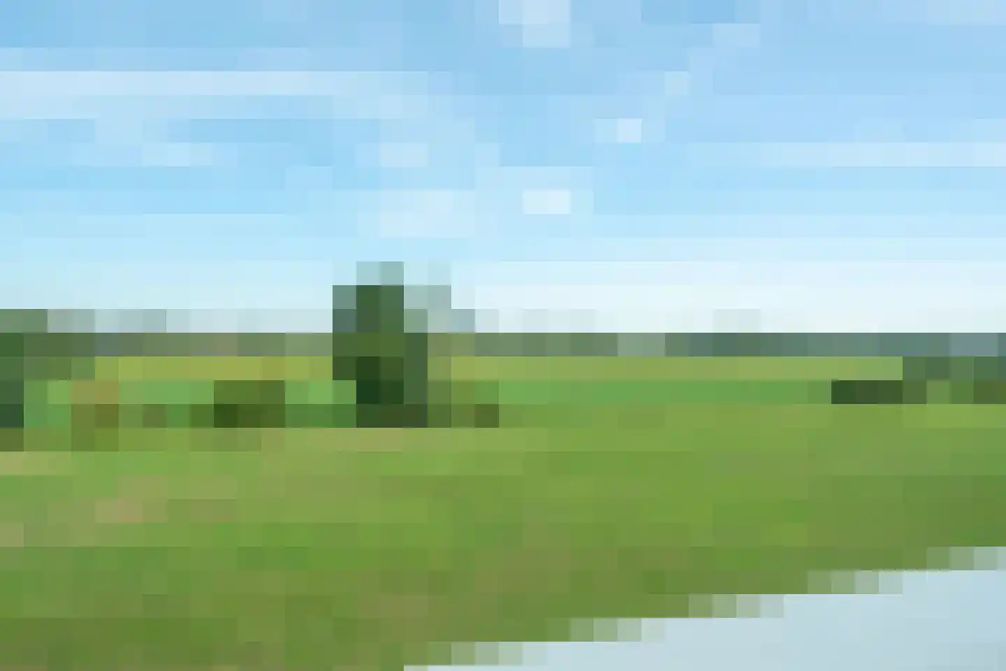 Pad van Witte Veder 13 Wageningen thumbnail 44