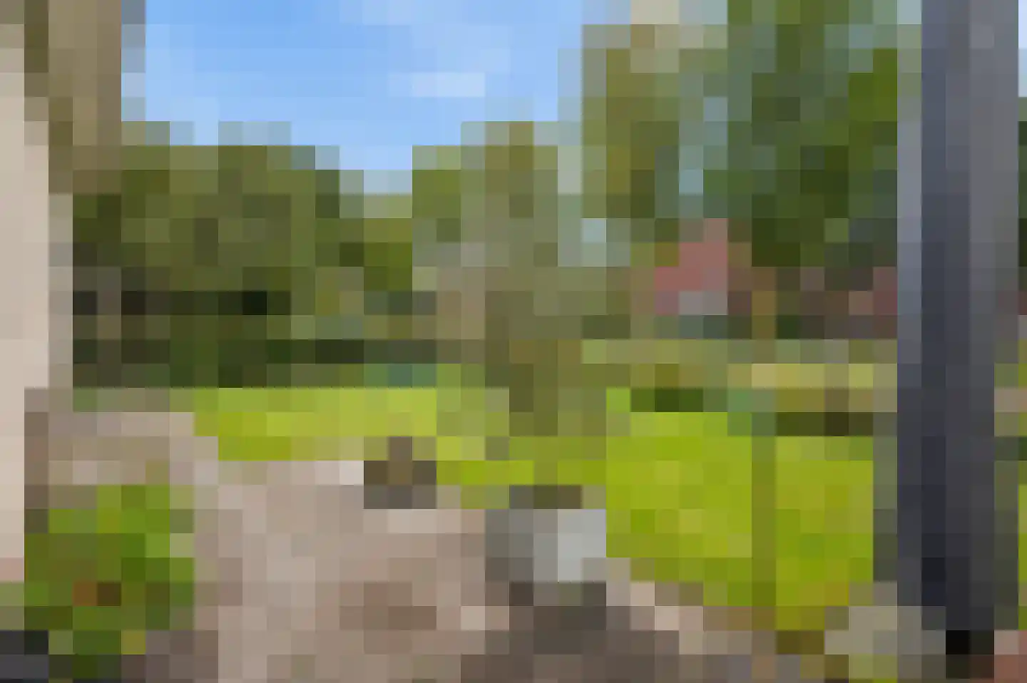 Pad van Witte Veder 5 Wageningen thumbnail 19