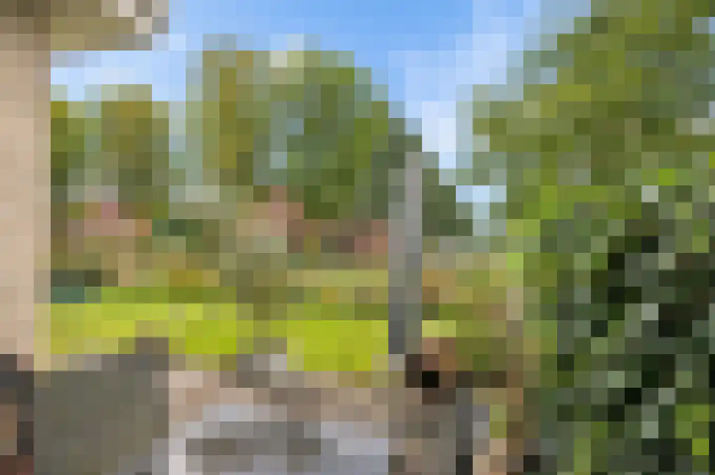 Pad van Witte Veder 5 Wageningen thumbnail 20