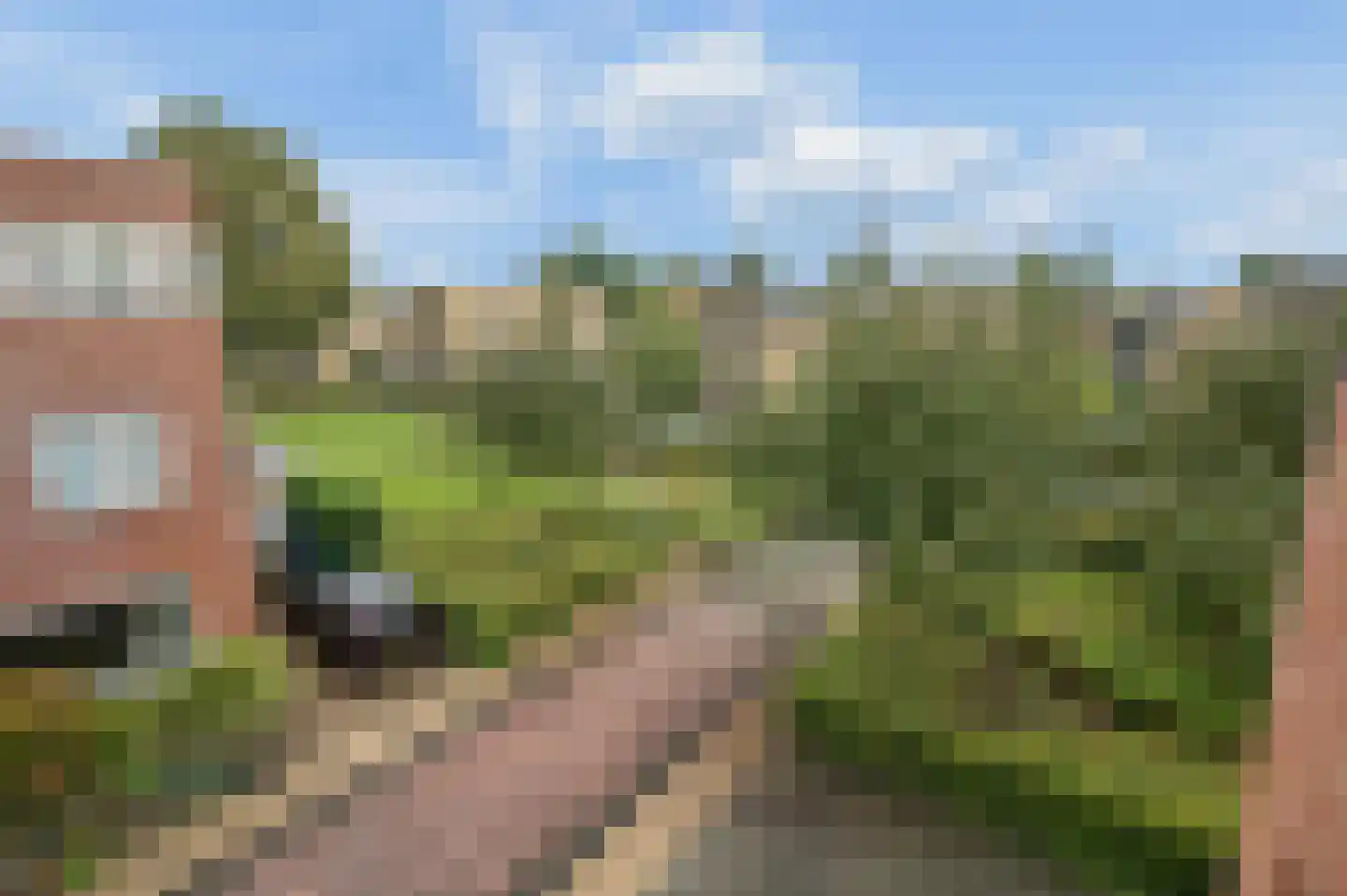Pad van Witte Veder 5 Wageningen thumbnail 39