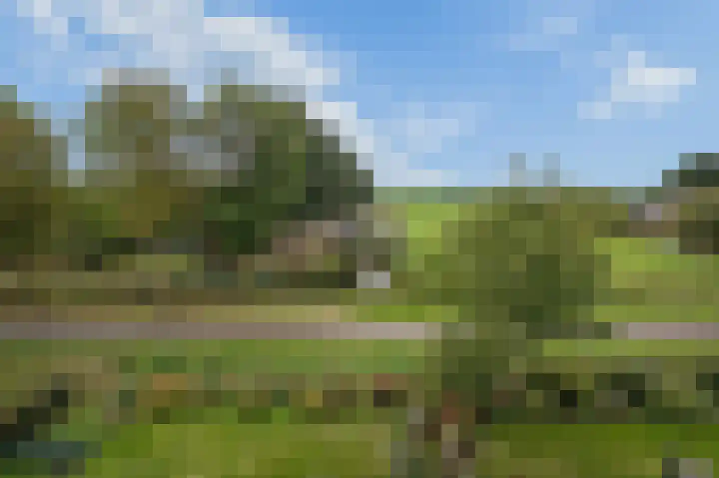 Pad van Witte Veder 5 Wageningen thumbnail 40