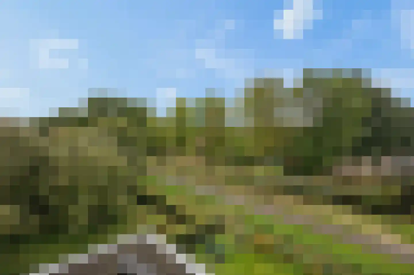 Pad van Witte Veder 5 Wageningen thumbnail 41