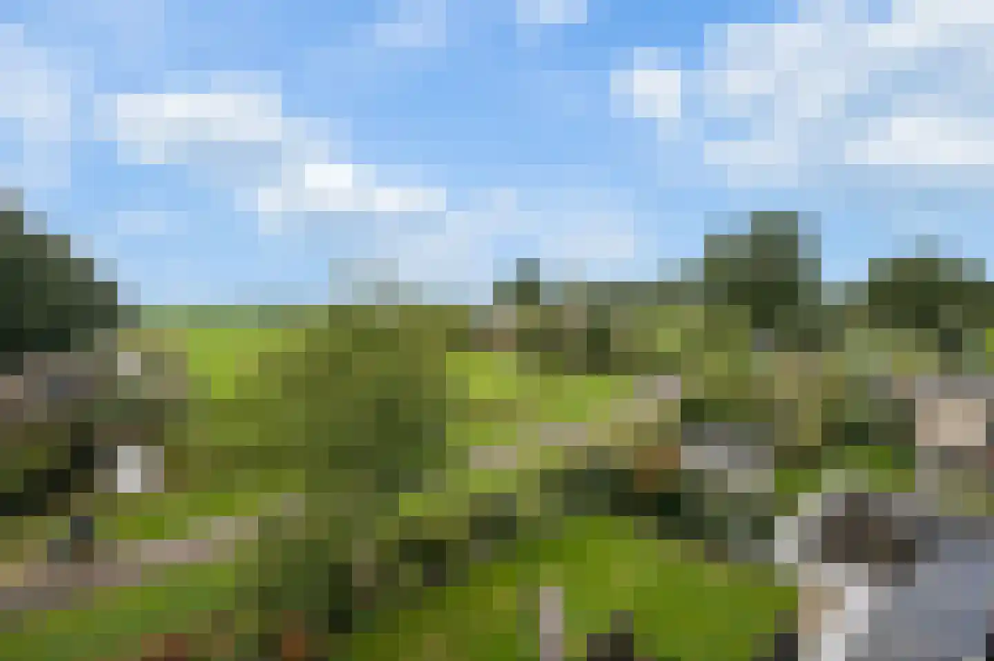 Pad van Witte Veder 5 Wageningen thumbnail 42