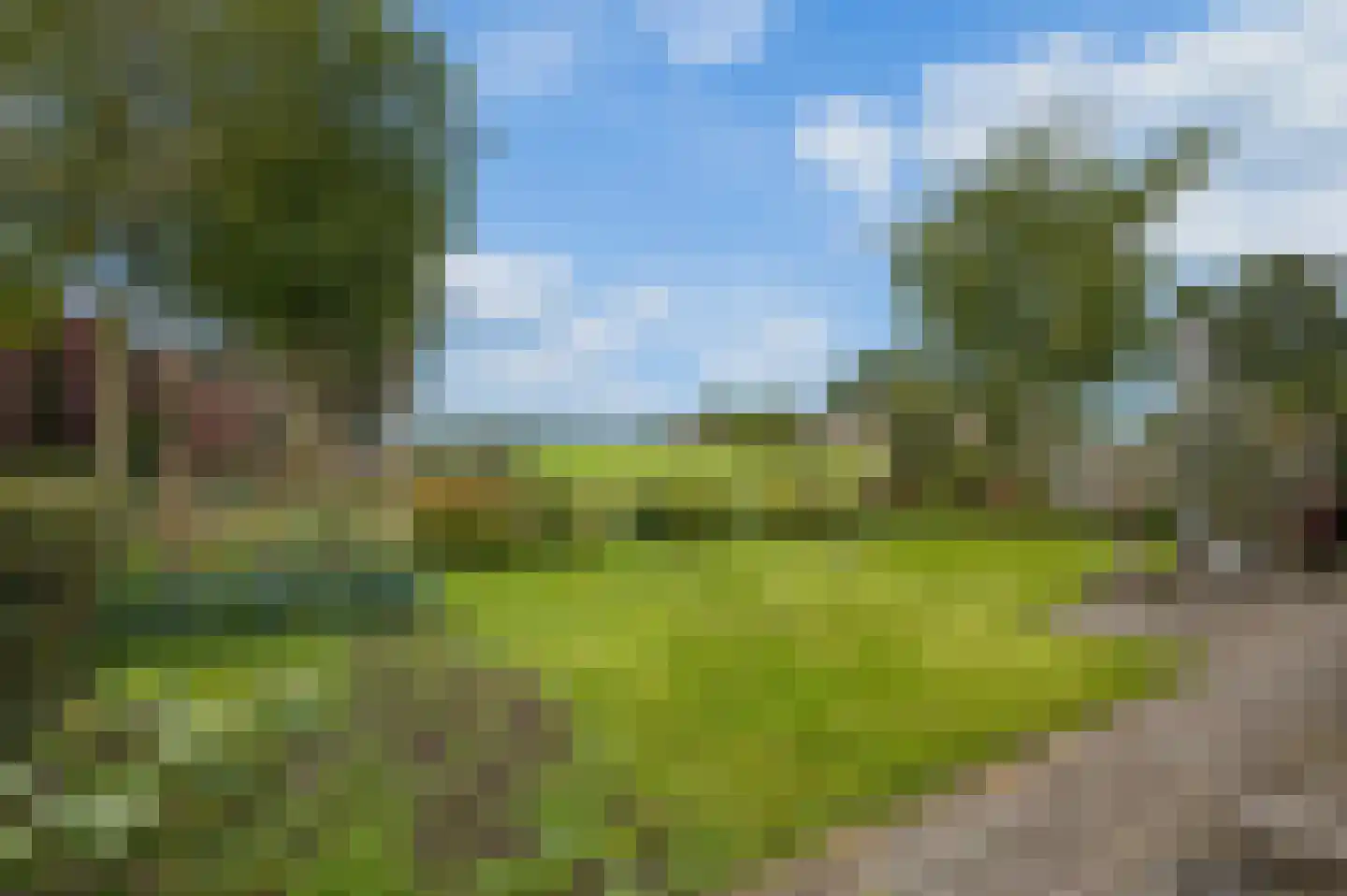 Pad van Witte Veder 5 Wageningen thumbnail 50