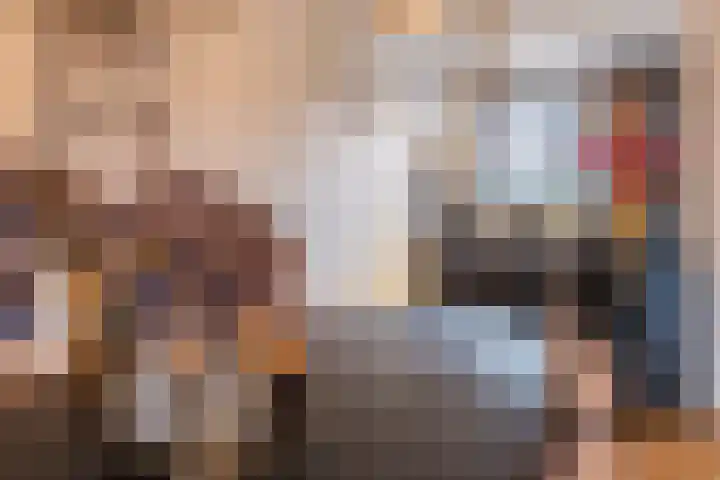 Padakker 16 Eersel thumbnail 10
