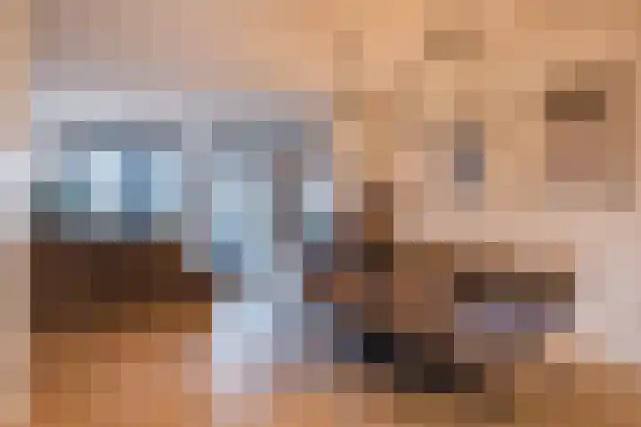 Padakker 16 Eersel thumbnail 11