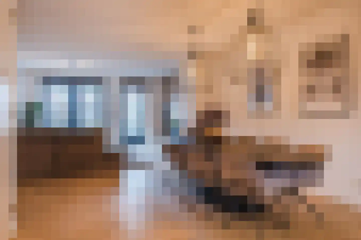 Padakker 16 Eersel thumbnail 11