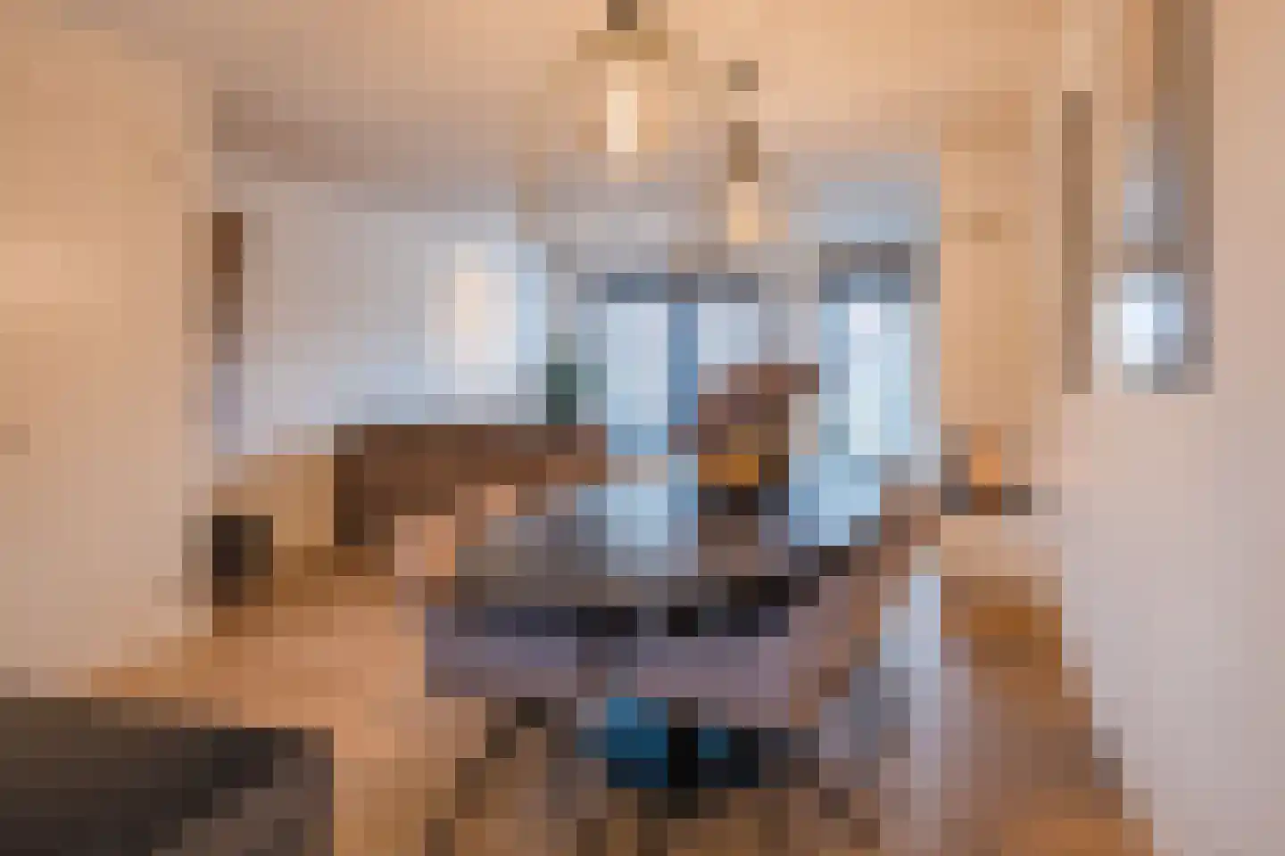 Padakker 16 Eersel thumbnail 12