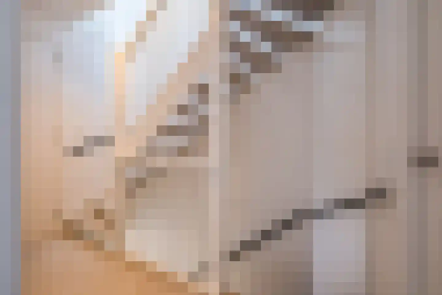 Padakker 16 Eersel thumbnail 18