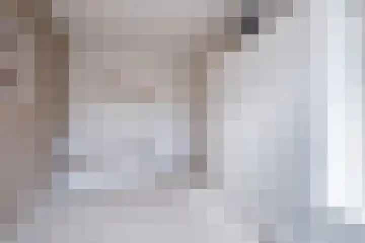 Padakker 16 Eersel thumbnail 20