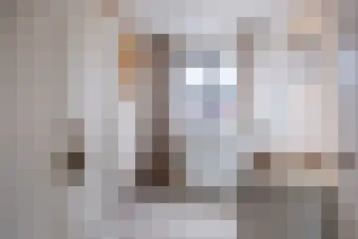 Padakker 16 Eersel thumbnail 21