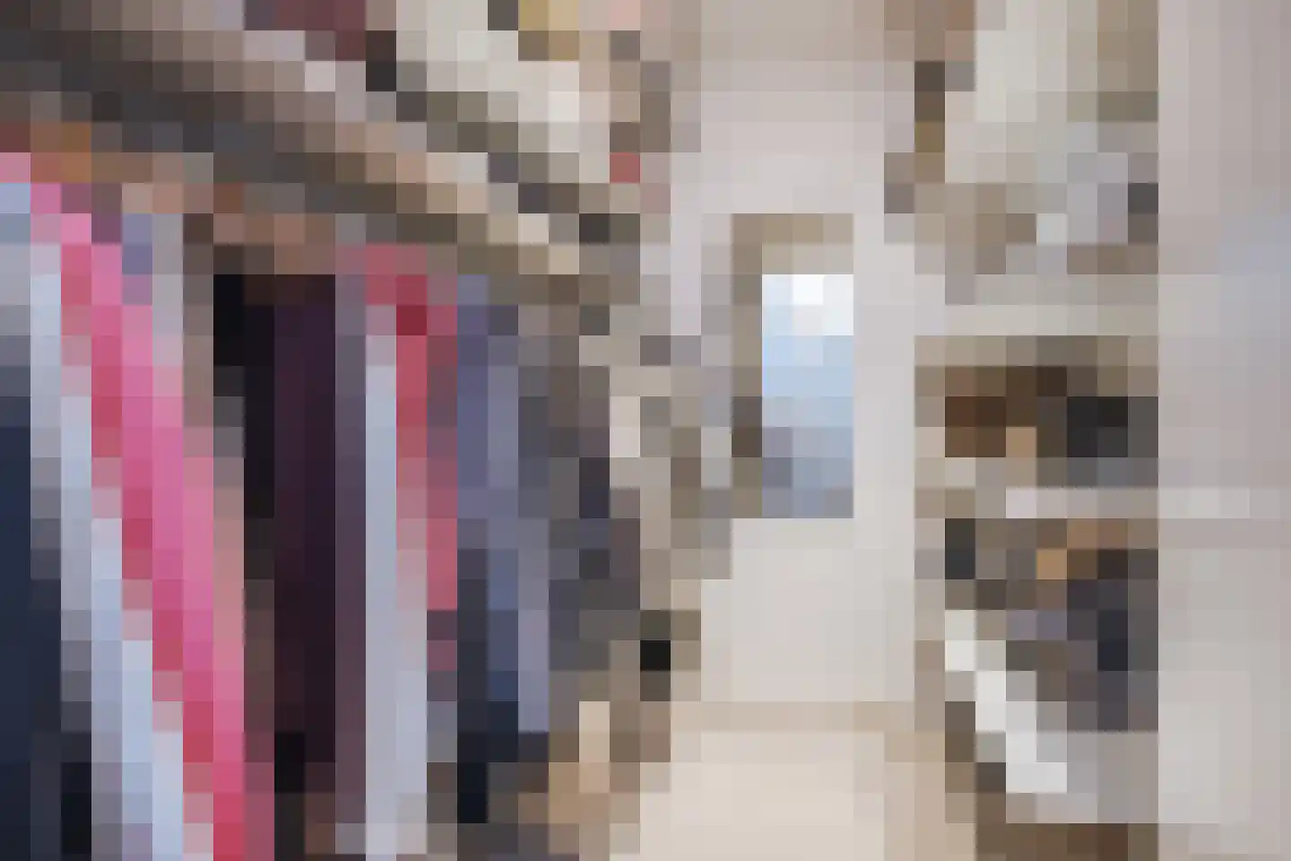Padakker 16 Eersel thumbnail 23