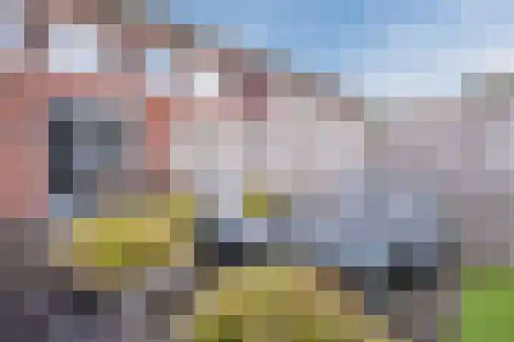 Padakker 16 Eersel thumbnail 30