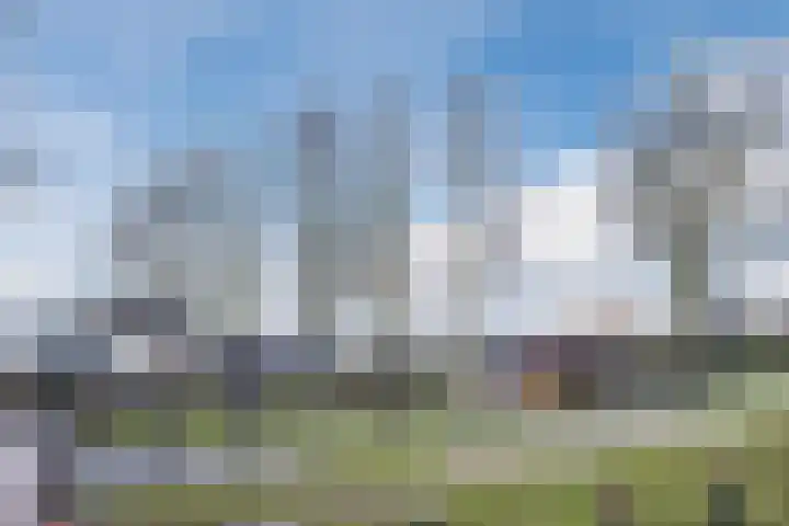 Padakker 16 Eersel thumbnail 34