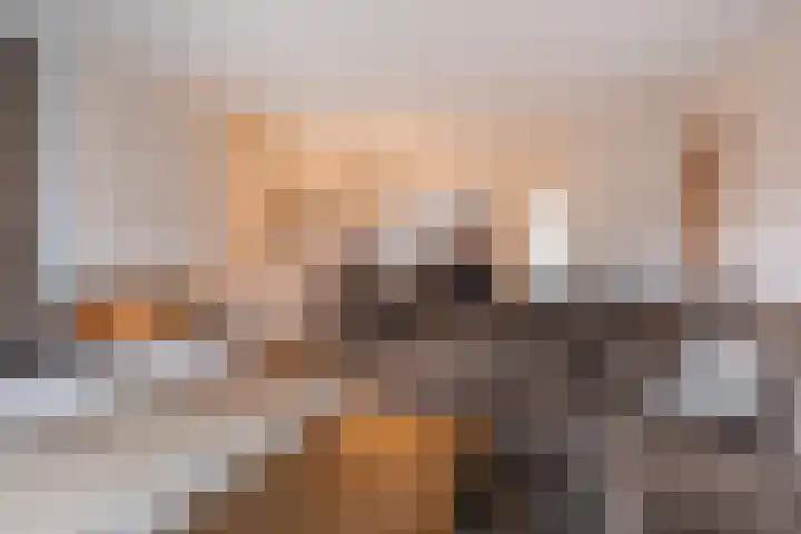 Padakker 16 Eersel thumbnail 8