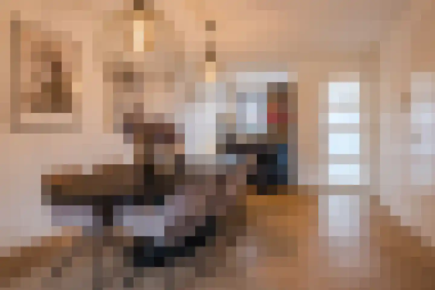 Padakker 16 Eersel thumbnail 9