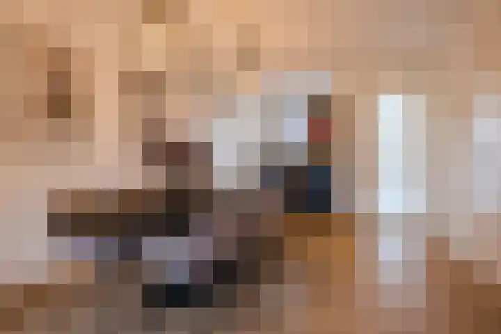 Padakker 16 Eersel thumbnail 9