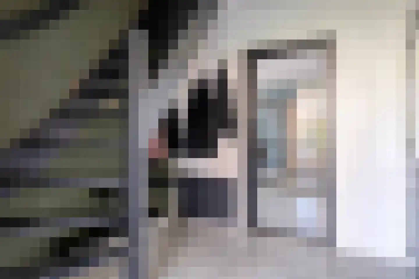 Padakker 4 Waarland thumbnail 10