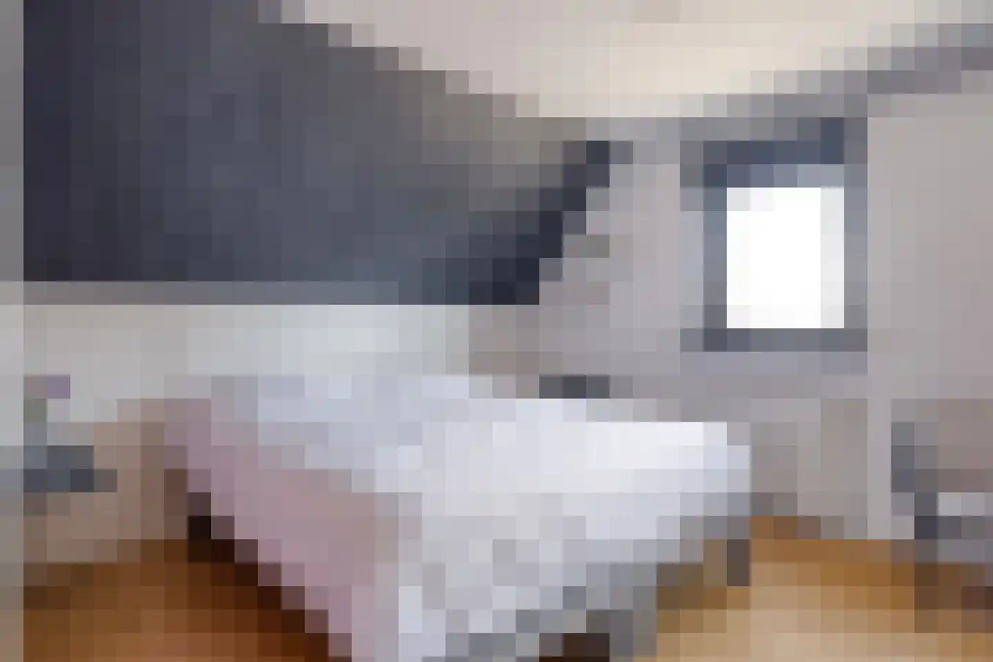 Padakker 4 Waarland thumbnail 24