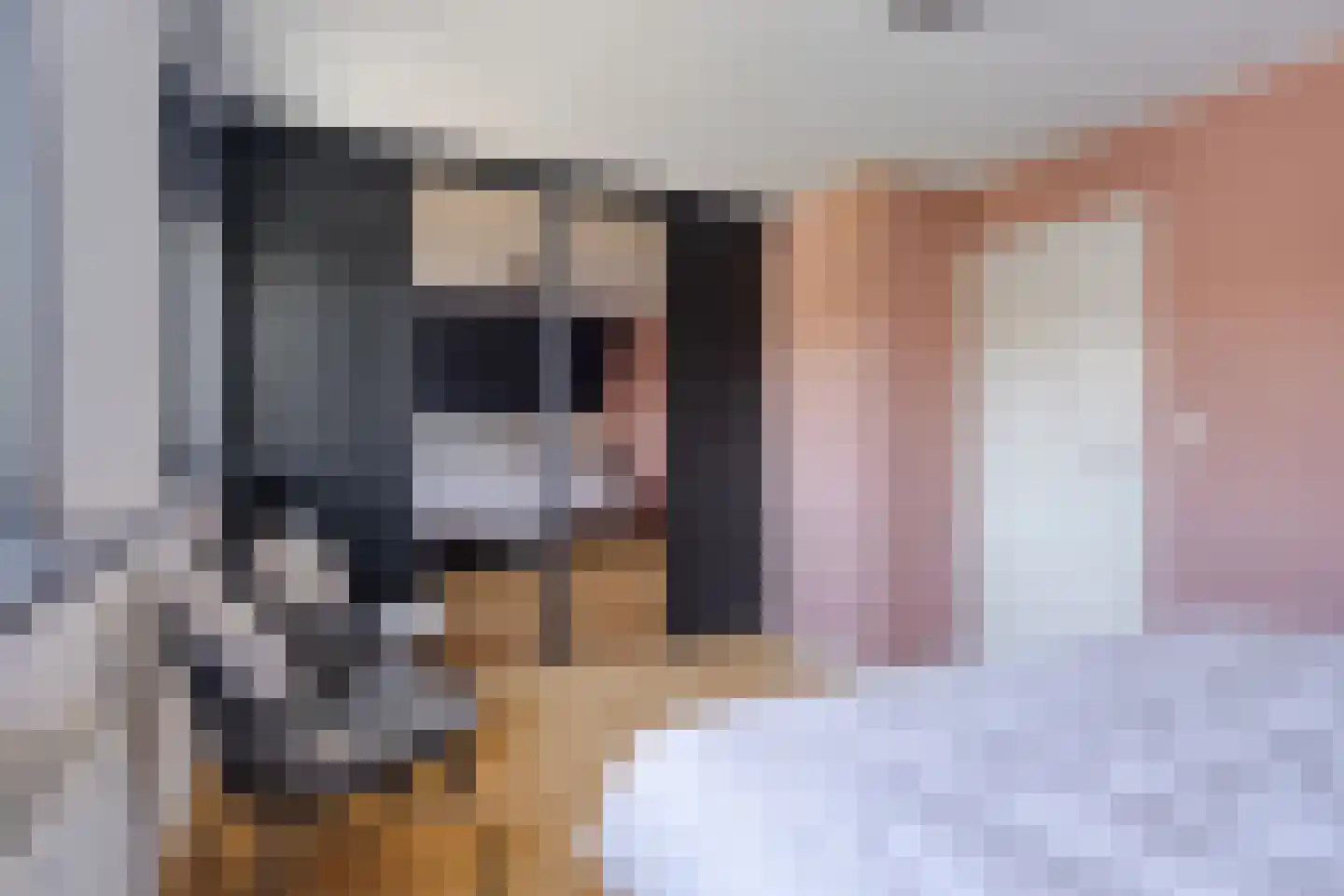 Padakker 4 Waarland thumbnail 25