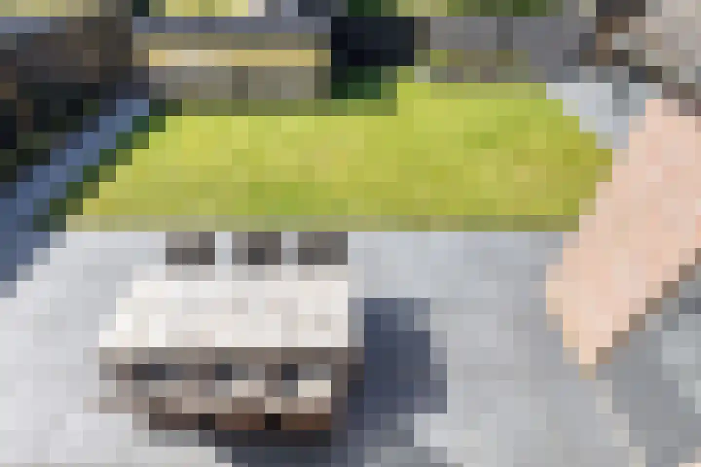Padakker 4 Waarland thumbnail 30