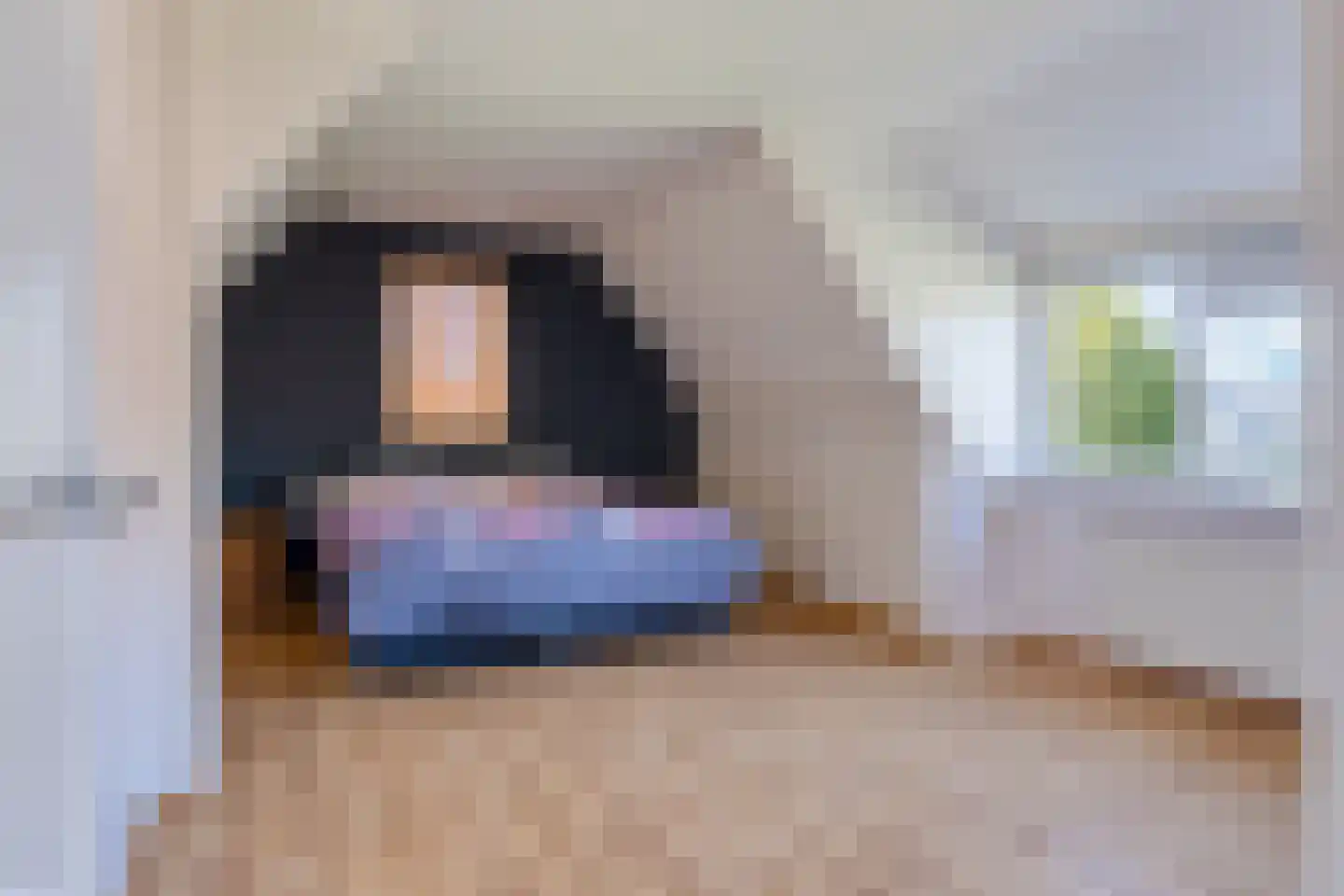 Padakker 4 Waarland thumbnail 32