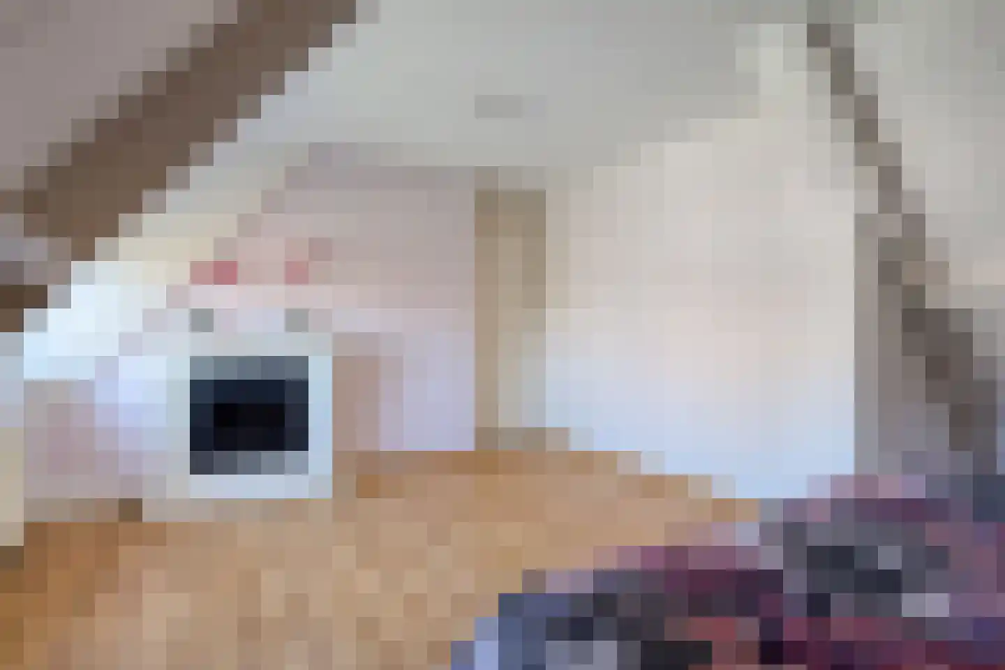 Padakker 4 Waarland thumbnail 33