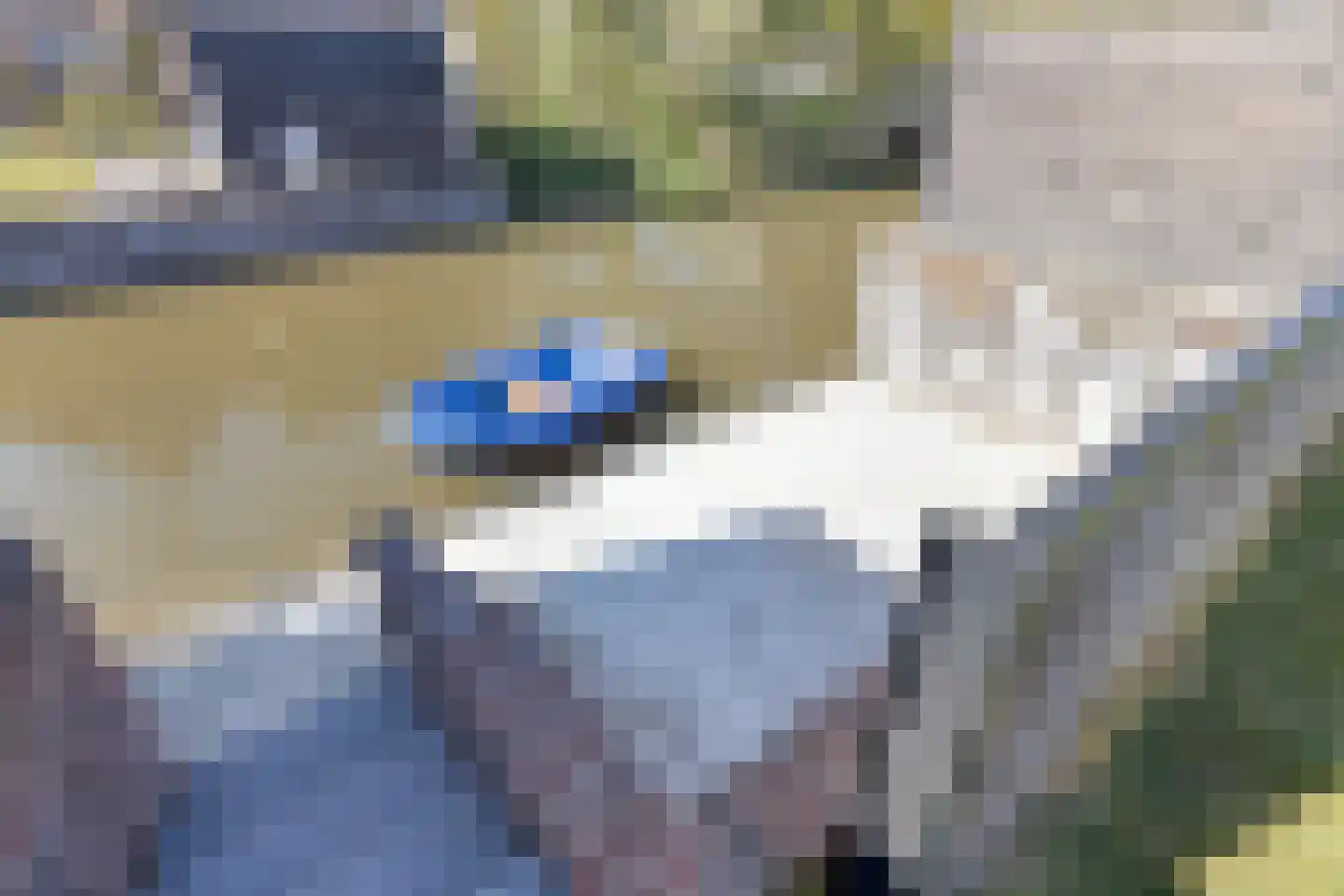 Padakker 4 Waarland thumbnail 37
