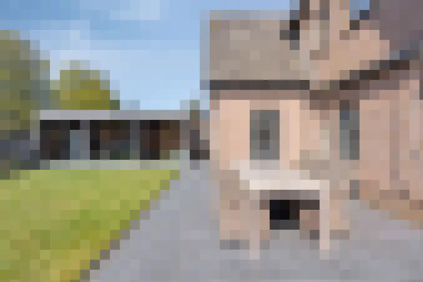 Padakker 4 Waarland thumbnail 38