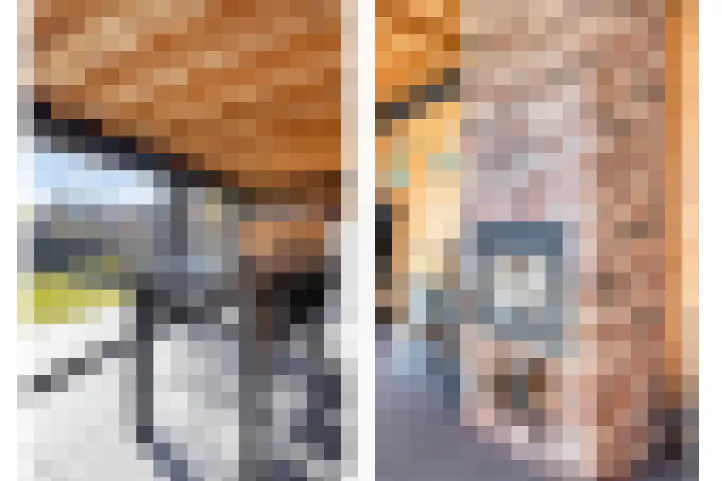 Padakker 4 Waarland thumbnail 42
