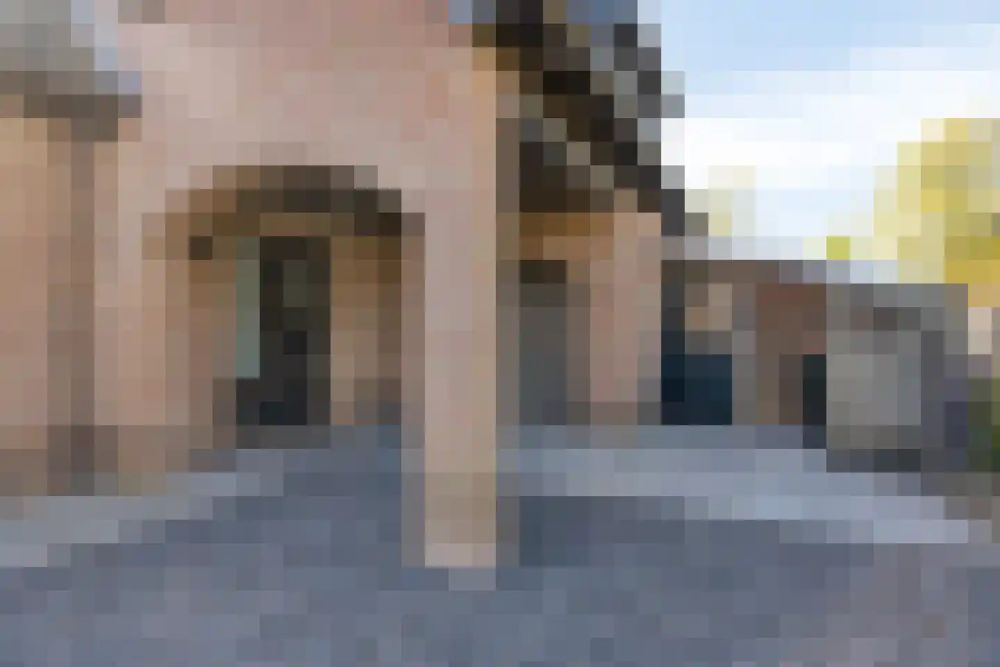 Padakker 4 Waarland thumbnail 8