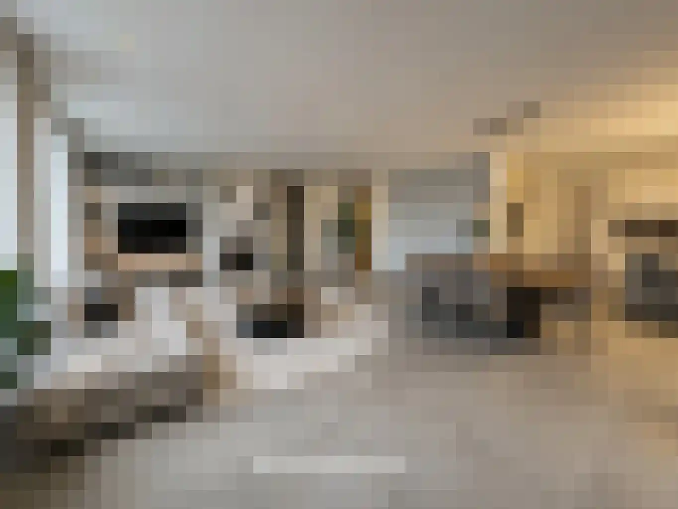 Padakkers 4 Hoogeloon thumbnail 10