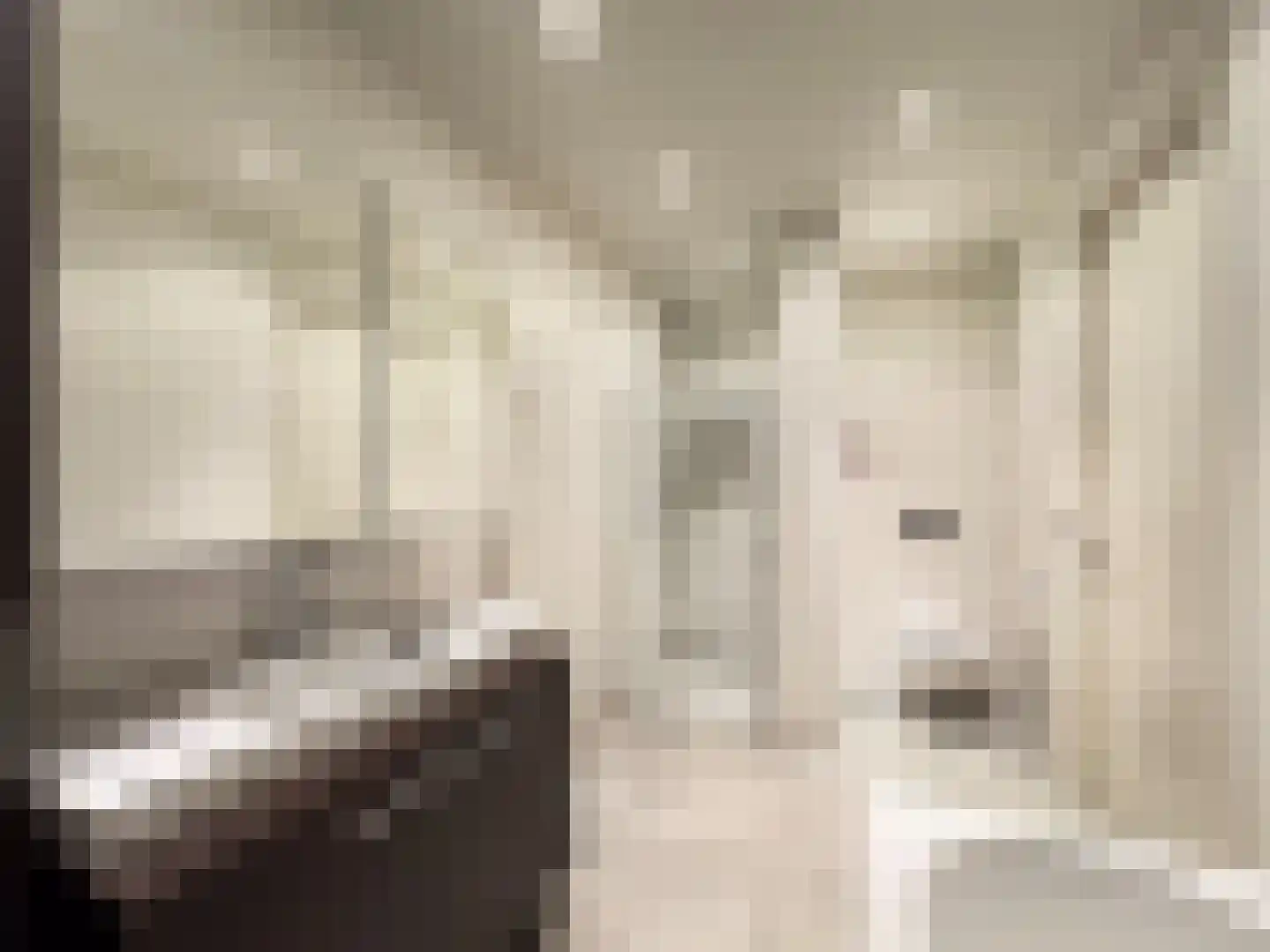 Padakkers 4 Hoogeloon thumbnail 23