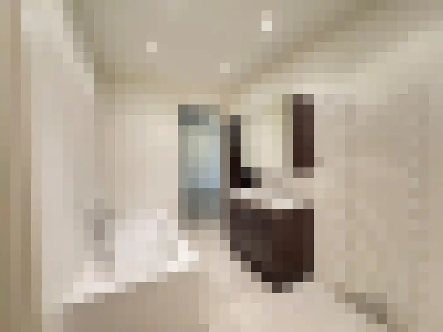 Padakkers 4 Hoogeloon thumbnail 24