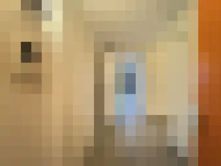 Padakkers 4 Hoogeloon thumbnail 5