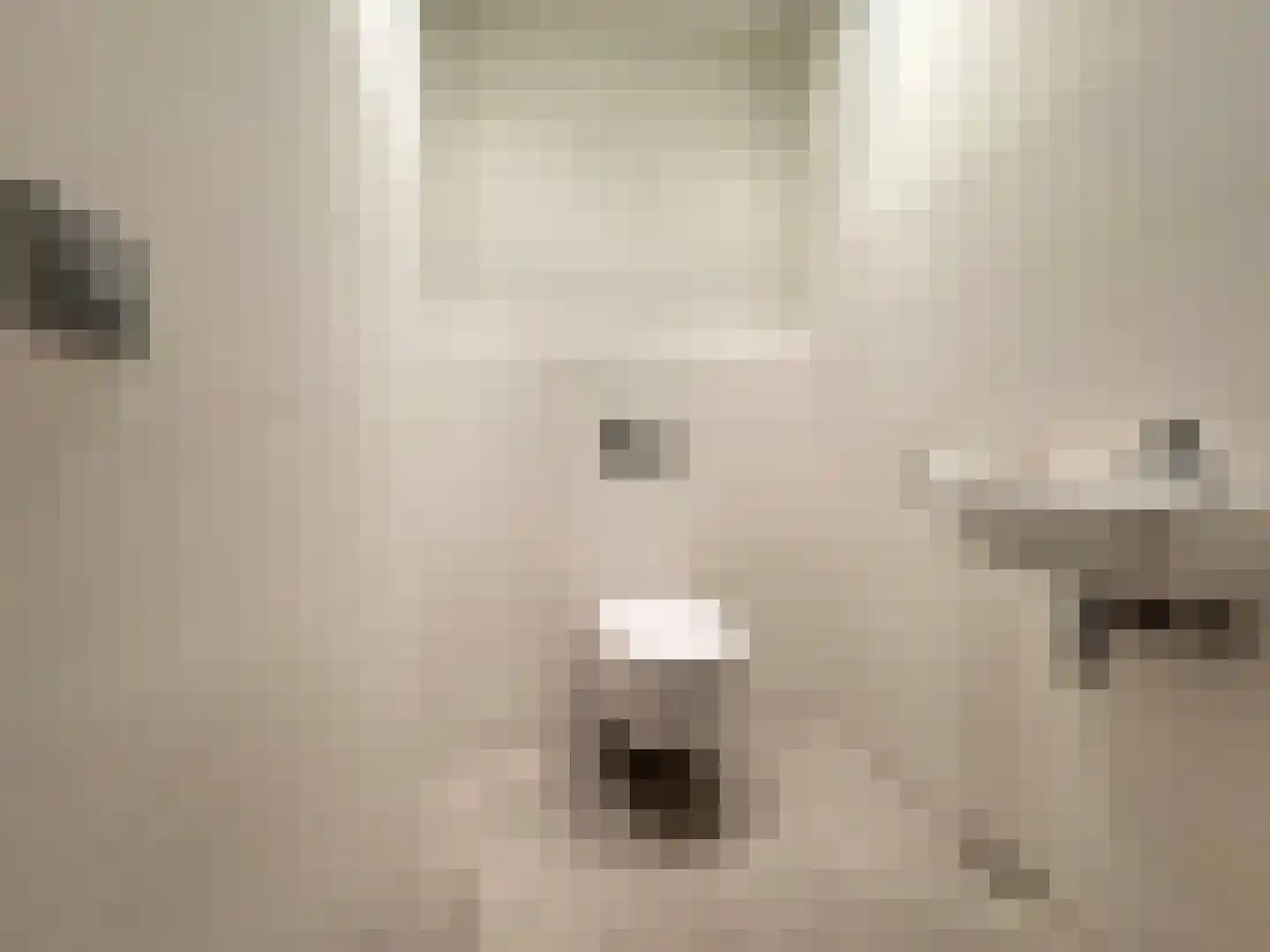 Padakkers 4 Hoogeloon thumbnail 6