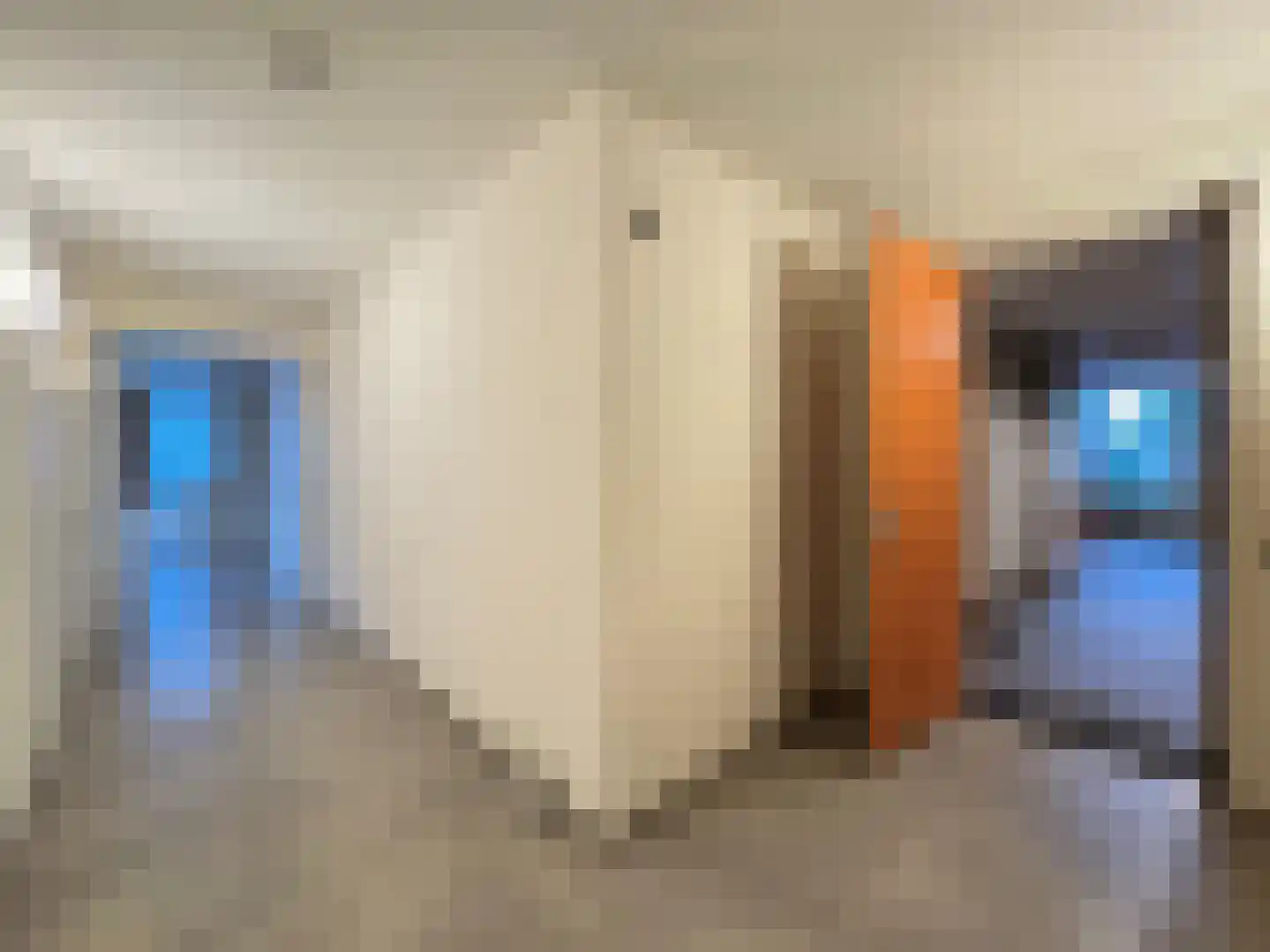 Padakkers 4 Hoogeloon thumbnail 8