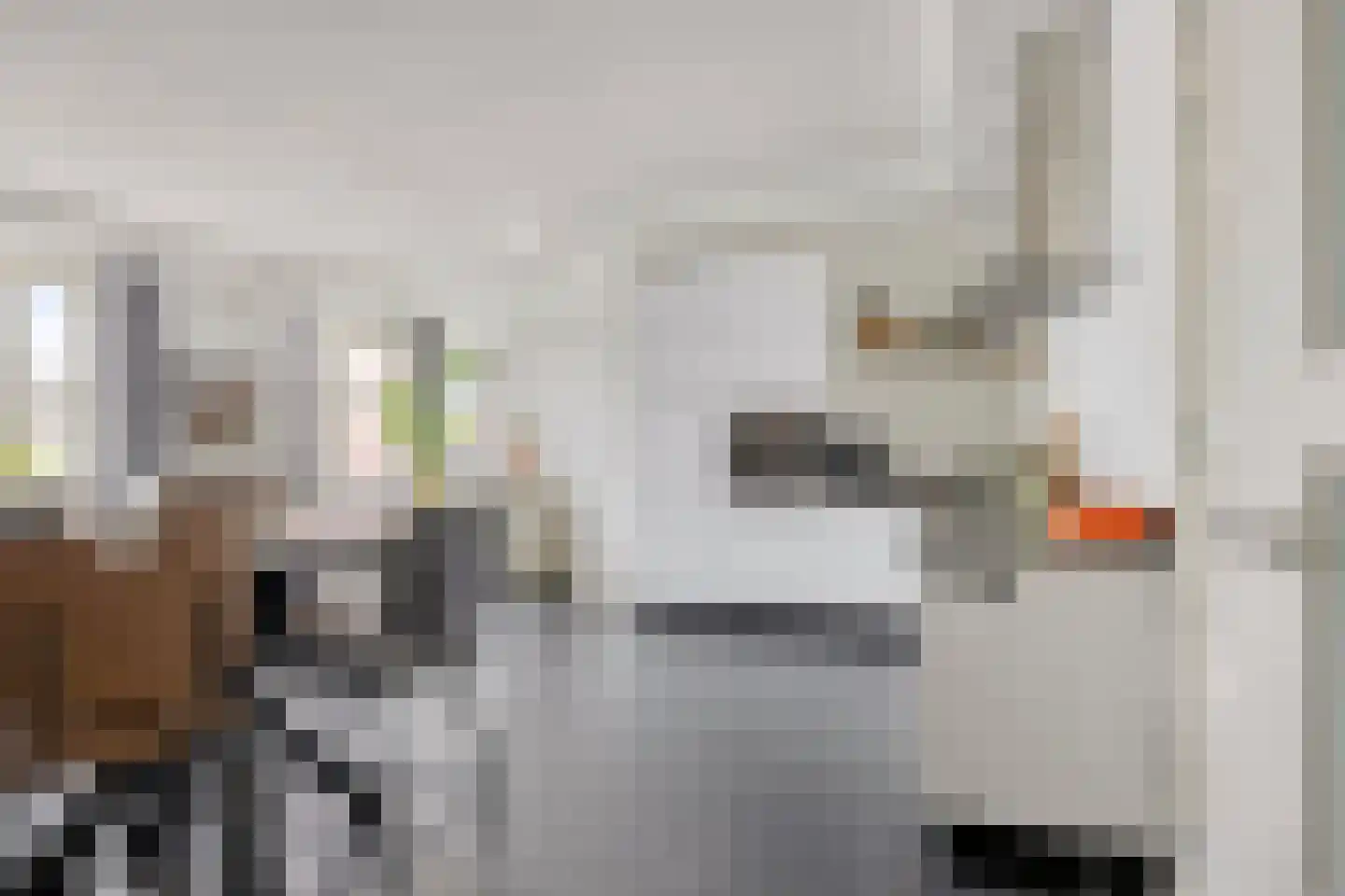 Padakkers 8 Hoogeloon thumbnail 13