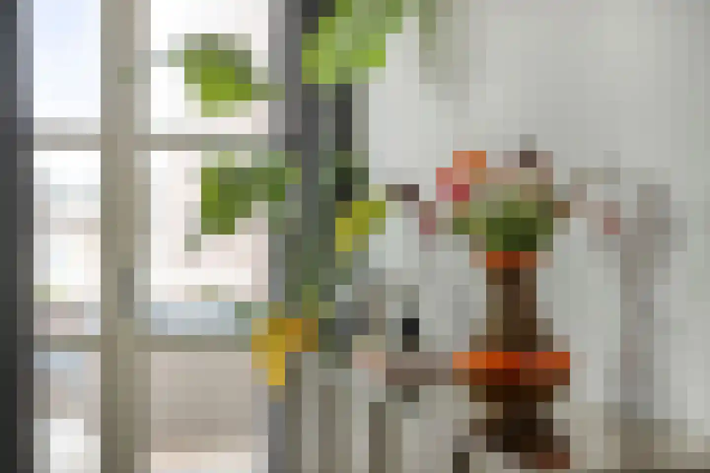 Padakkers 8 Hoogeloon thumbnail 20